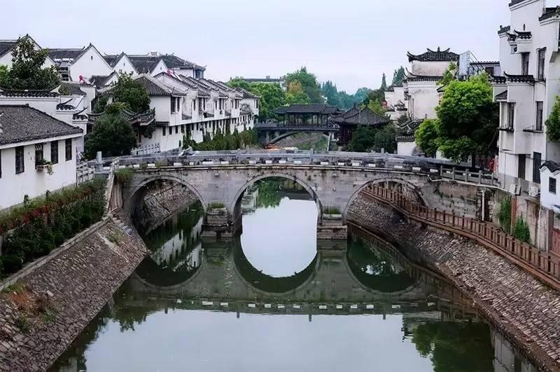 逃离神秘之林